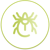 Our products: MITES