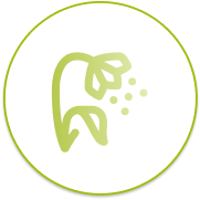 Our products: POLLENS