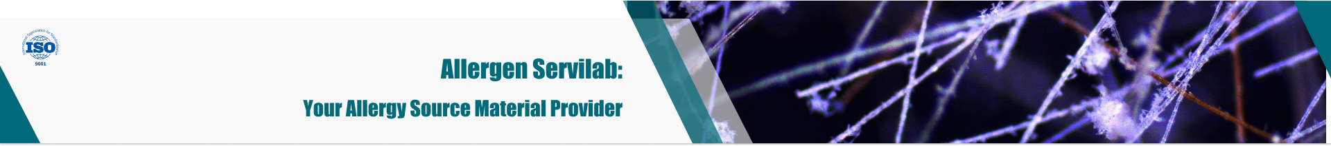 Our products: DANDER